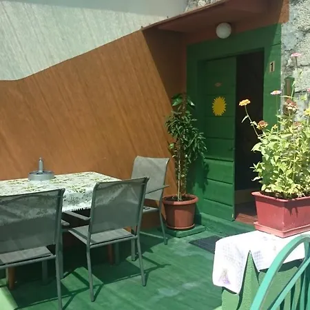 Surya روغوزنيكا