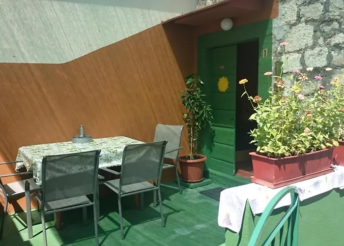 Surya روغوزنيكا