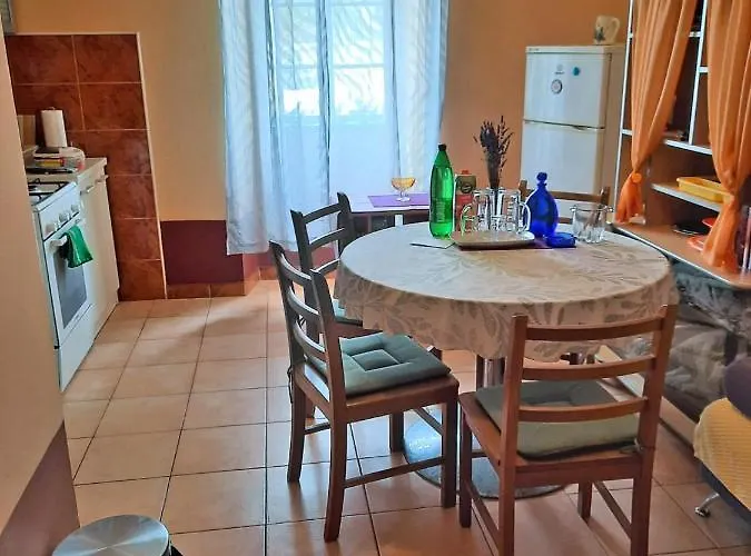 Surya * روغوزنيكا